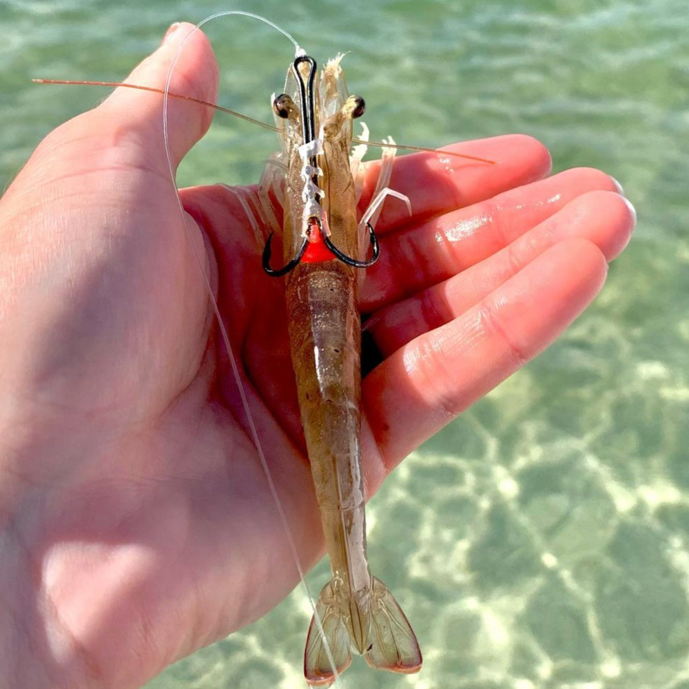Shrimp Walker (3 pack) – Texas Power Paddle