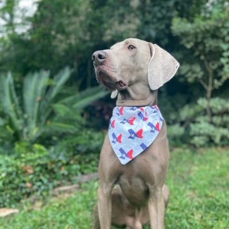 Fishing Buddy Apparel